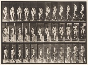 Talíř 138. Sestupné schody Soustružení; Džbán v levé ruce od Eadweard Muybridge