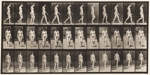 Talíř 13. Chůze, 1872-1885 od Eadweard Muybridge