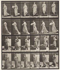 Talíř 141. Sestupné schody a Flirtující vějíř od Eadweard Muybridge