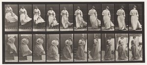 Talíř 142. Sestupné schody, chycení šatů, 1885 od Eadweard Muybridge