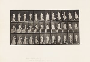 Talíř 143. Sestupný sklon, otáčení šálku a podšálku v pravé ruce od Eadweard Muybridge