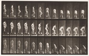Talíř 149. Sestupné schody; Shýbání se, aby zvedl džbán, 1872-1885 od Eadweard Muybridge