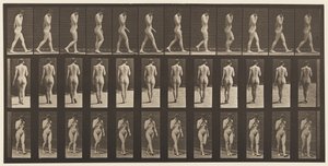 Talíř 14. Chůze, pravá ruka u brady, 1872-1885 od Eadweard Muybridge