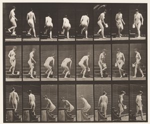 Talíř 150. Sestupné schody; Sklánění, zvedání džbánu, soustružení, 1872-1885 od Eadweard Muybridge