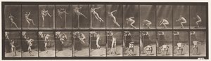 Talíř 157. Skákání; Běh Twist skok vysoký od Eadweard Muybridge