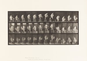 Talíř 172. Šlápnutí na kůl; Skákání dolů, otáčení, 1885 od Eadweard Muybridge
