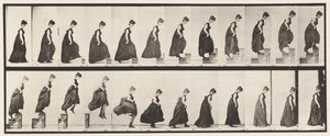 Talíř 173. Vzestupné kroky a seskočení, 1885 od Eadweard Muybridge