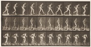Deska 177. Crossing Brook on Stepstones with Fishing-Pole & Basket od Eadweard Muybridge