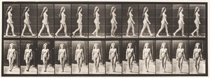 Talíř 17. Chůze, 1872-1885 od Eadweard Muybridge