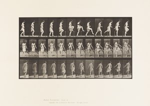 Talíř 181. Překročení plotu od Eadweard Muybridge