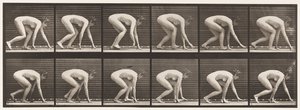 Talíř 183. Chůze po rukou a nohou od Eadweard Muybridge