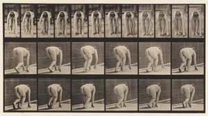 Talíř 184. Chůze po rukou a nohou od Eadweard Muybridge