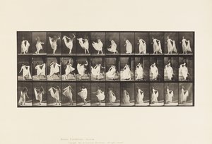 Talíř 193. Tanec (efektní) od Eadweard Muybridge