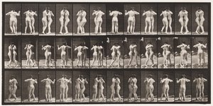 Talíř 196. Tančící valčík, dva modely od Eadweard Muybridge
