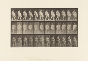 Talíř 19. Chůze, začátek otáčení od Eadweard Muybridge