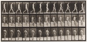 Talíř 1. Chůze od Eadweard Muybridge