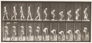 Talíř 202. Upuštění a zvednutí kapesníku od Eadweard Muybridge
