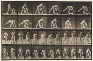 Talíř 203. Ohýbání nad želé se sklenicí vody od Eadweard Muybridge