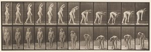 Talíř 204. Zastavení a vyzvednutí míče od Eadweard Muybridge