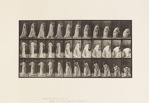 Talíř 205. Přenášení a sklápění s vázou, 1885 od Eadweard Muybridge