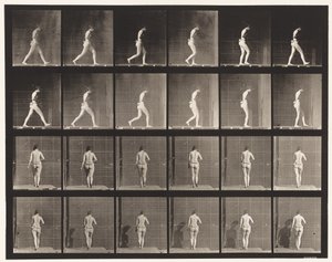 Talíř 20. Chůze, pravý loket ohnutý od Eadweard Muybridge