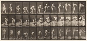 Talíř 213. Zvedací a vyprazdňovací koš od Eadweard Muybridge