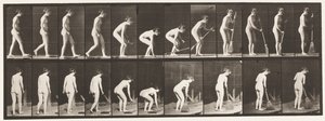 Talíř 219. Shýbání a zvedání koštěte a zametání od Eadweard Muybridge
