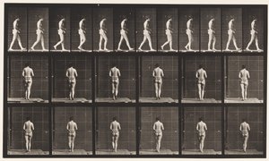 Talíř 21. Chůze, oba lokty ohnuté od Eadweard Muybridge