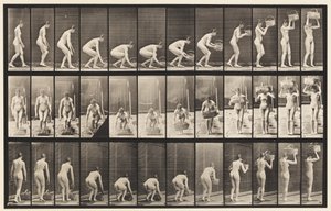 Talíř 221. Shýbání a zvedání koše o hmotnosti 12 lb k hlavě od Eadweard Muybridge