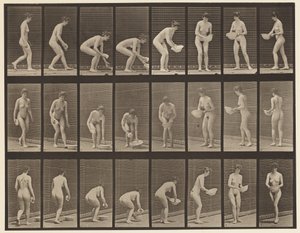 Talíř 223. Sklánění a zvedání mísy, otírání a otáčení, 1872-1885 od Eadweard Muybridge
