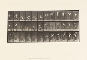Talíř 230. Zvedání 30 lb koše ze země do hlavy, soustružení, 1885 od Eadweard Muybridge