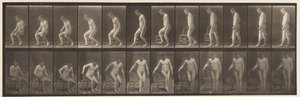 Talíř 236. Umístění deníku a sezení, 1885 od Eadweard Muybridge