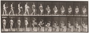 Talíř 237. Sedí na židli a otevírá ventilátor, 1872-1885 od Eadweard Muybridge