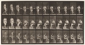 Talíř 238. Sedí na židli, překříží nohy, pije ze šálku čaje od Eadweard Muybridge