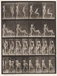 Talíř 239. Dva modely; Jeden stojící, druhý sedící, překřížení nohou od Eadweard Muybridge