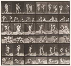 Talíř 245. Dva modely točící se kolem sedící na zemi od Eadweard Muybridge