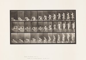 Talíř 248. Sedí na zemi od Eadweard Muybridge