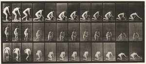 Talíř 252. Klečení na pravém koleni a drhnutí podlahy, 1872-1885 od Eadweard Muybridge