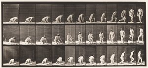 Talíř 255. Vzniká z klečení a otáčení od Eadweard Muybridge