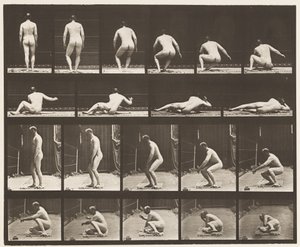 Talíř 257. Ležící na zemi, 1885 od Eadweard Muybridge