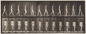 Talíř 25. Chůze, S Botami Na Vysokém Podpatku od Eadweard Muybridge