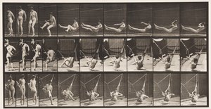 Talíř 261. Dostat se do houpací sítě, 1872-1885 od Eadweard Muybridge