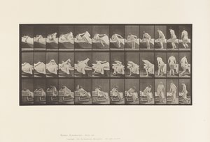 Talíř 264. Vstávání z postele a příprava na pokleknutí od Eadweard Muybridge