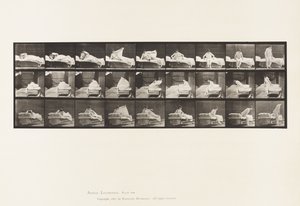 Talíř 265. Vstávání z postele a příprava na pokleknutí od Eadweard Muybridge