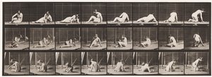 Talíř 266. Otáčení a změna polohy na zemi od Eadweard Muybridge