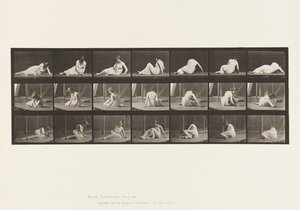 Talíř 267. Otáčení a změna polohy na zemi, 1885 od Eadweard Muybridge
