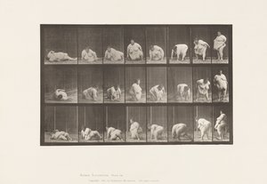 Deska 268. Vyvstávající ze země, 1885 od Eadweard Muybridge