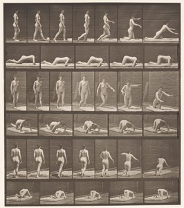 Talíř 272. Zakopnutí a pád na zem od Eadweard Muybridge