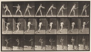 Talíř 277. Base-ball; Odpalování od Eadweard Muybridge