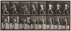 Talíř 278. Base-ball; Odpalování od Eadweard Muybridge